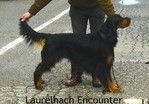 CH. Laurelhach Laurelach encounter